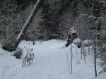 50nievebis.JPG