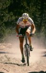 tomac_4.jpg
