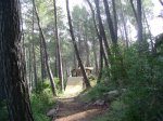 DSC00252.JPG