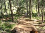 DSC00261.JPG