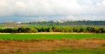 Pinar 12.jpg