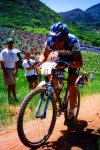 TOMAC_ROOSTMASTER.jpg