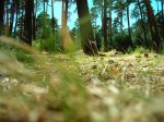 DSCN0589.JPG
