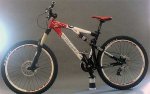seaotter_0407_08.jpg