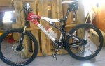 seaotter_0407_02.jpg