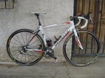 500_IMG_2512.jpg