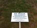 medinense24.jpg