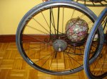 DSC01049.JPG