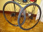 DSC01050.JPG