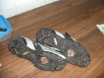 PIC01230.jpg