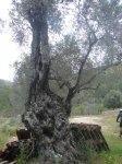 SantJoan-Alrededores-32.jpg