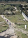 MTB Marmota-Puente Medieval 120408 (14) [1024x768].JPG