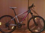 07042008047.jpg