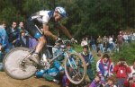 tomac llinars.jpg