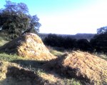 Dirt jump G.jpg
