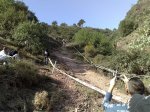 12042008149.jpg