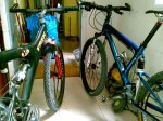 11042008104_redimensionar.jpg