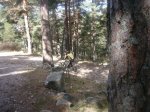 Foto4.JPG