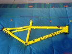 DSC00911.jpg