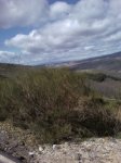 Foto0386.jpg