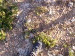Imagen037.jpg