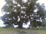 salida 13 -04 - 2008 023.jpg