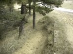 circuitillo y vegadeo 2008 020.jpg