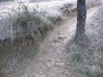 circuitillo y vegadeo 2008 018.jpg