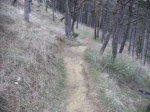 circuitillo y vegadeo 2008 016.jpg
