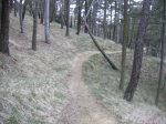 circuitillo y vegadeo 2008 013.jpg