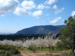DSC08196.jpg