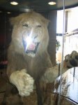 IMG_7619.jpg