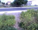 10-04-08_1922.jpg