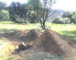 12-04-08_1810.jpg