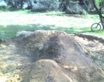 12-04-08_1812.jpg