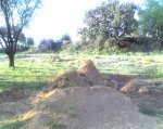 12-04-08_2006.jpg