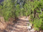 rutaalmendros_02.jpg
