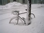 Bicicleta Nevada.jpg