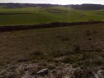 14042008681.jpg
