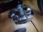 Nuevos 066.jpg