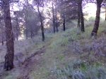 14042008691.jpg