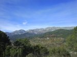 DSC00669.jpg