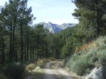 DSC00670.jpg