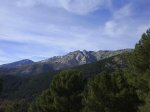DSC00671.jpg