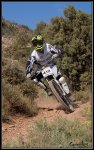 IMG_1068_.jpg