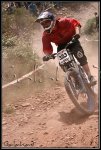 IMG_1289.jpg