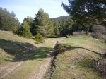 Foto3.JPG