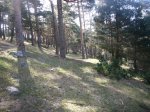 Foto4.JPG