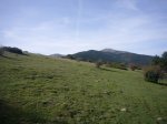 Foto10.JPG