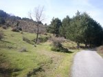Foto14.JPG